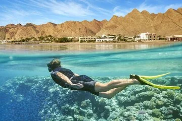 Voir toutes les photos