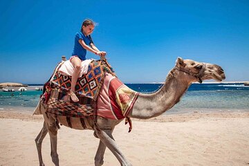 Quad Tour Along the Sea and Mountains in hurghada - Image 3