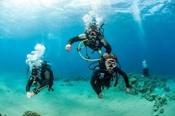 Intro Diving for Beginners 2 Stops Diving with Lunch - Hurghada - Image 2