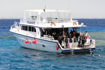 Intro Diving for Beginners 2 Stops Diving with Lunch - Hurghada - Image 3