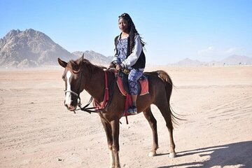Turkish Bath & Horse Riding 2 Hours ,Transfer - Sharm El Sheikh - Image 3