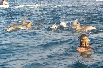 Swim with Dolphins at Sataya Reef Sea Trip & Lunch - Marsa Alam - Image 2