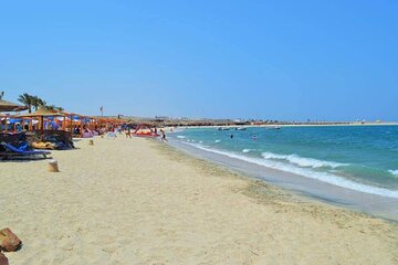 Over Day To Abu Dabbab Beach Marsa Alam With Lunch - Hurghada - Image 2