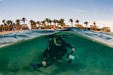 Over Day To Abu Dabbab Beach Marsa Alam With Lunch - Hurghada - Image 4