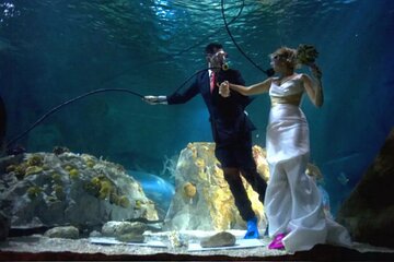Eternal Depths Romantic Underwater Proposal Experience - Hurghada - Image 2