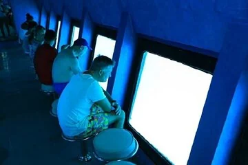 Conquest Semi-Submarine, Snorkeling Trip & Parasailing - Hurghada - Image 3