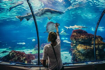 Full-Day Adventure at the Grand Aquarium with Transfer - Hurghada - Image 3