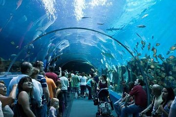 Full-Day Adventure at the Grand Aquarium with Transfer - Hurghada - Image 4
