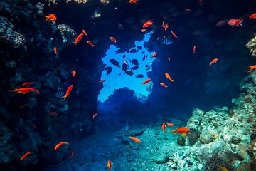 Ultimate Blue hole Snorkeling, Camel Ride, and Lunch from Sharm - Image 4