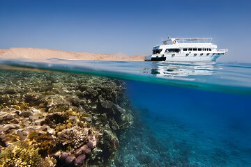 Ras Mohamed, White Island Trip, Two Stops Diving -Sharm El Sheikh - Image 2