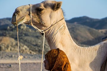 Enjoy Amazing 3-Nights Cruise From Aswan To Luxor ,Tours& Balloon,Abu Simbel - Image 4