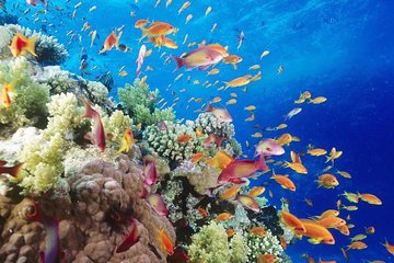 Sharm El Sheikh Relax Accommodation 8 days - 7 nights - Image 2