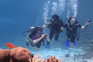 Sharm El Sheikh Relax Accommodation 8 days - 7 nights - Image 4