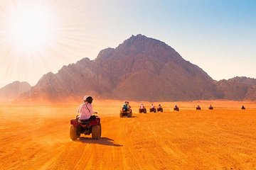 05 Hours Desert Quad Bike Safari & Camel ride & Dinner - Image 1