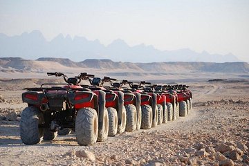 05 Hours Desert Quad Bike Safari & Camel ride & Dinner - Image 2