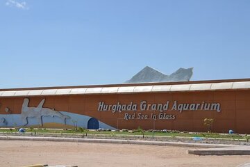 Hurghada tour by night with the Grand Aquarium and dinner - Image 2