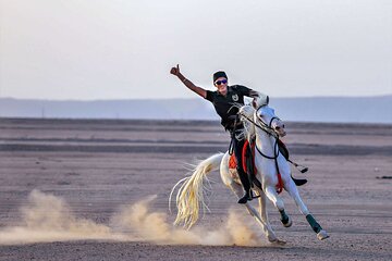 Horse Riding 02 Hours Beach or Desert - Image 4