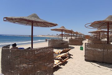 Turtles Bay, Swimming with Turtles Hurghada & Marsa ALam - Image 2