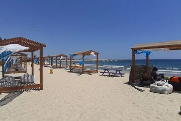 Turtles Bay, Swimming with Turtles Hurghada & Marsa ALam - Image 3