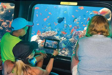 2 Hours Semi-Submarine Tour With Snorkeling & transfer-Hurghada - Image 4