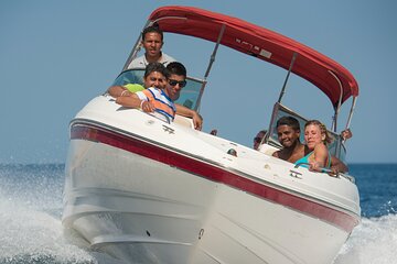 4H Private Speedboat Swim with Dolphins, Water Sports - Hurghada - Image 3