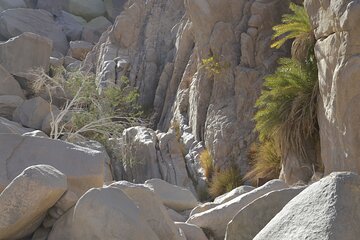 Red Sea Desert Buggy Safari & Echo Caves - Sharm El Sheikh - Image 3