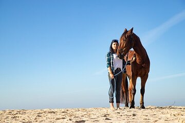 Desert Adventure Camel or Horse Ride Experience - Sharm El Sheikh - Image 2