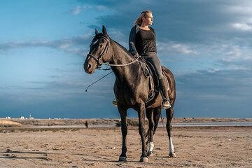 Desert Adventure Camel or Horse Ride Experience - Sharm El Sheikh - Image 4