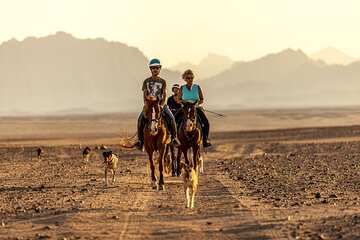 ATV Quad Adventure & Horseback Riding Journey – Sharm El Sheikh - Image 1