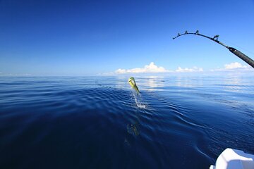 4-Hour Fishing and Snorkelling by Speedboat in Hurghada - Image 2