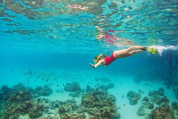 Exclusive Speedboat To Dolphin House & Parasailing - Hurghada - Image 4