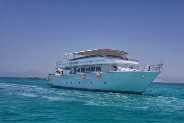 Coral Garden Snorkeling Trip with Lunch & Transfer – Marsa Alam - Image 1