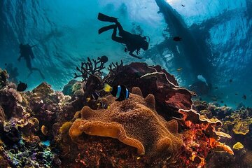 Beginner Scuba Diving Experience Two Dives Lunch in Marsa Alam - Image 2