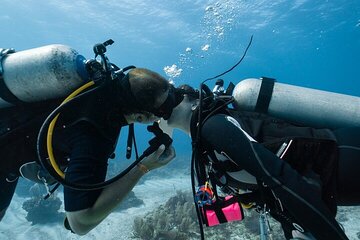Beginner Scuba Diving Experience Two Dives Lunch in Marsa Alam - Image 4