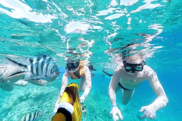 Hula hula Island Snorkeling Trip and Lunch & Water Sport-Hurghada - Image 4