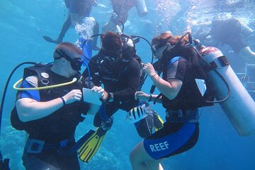 Say "Yes" Beneath Waves & Experience Underwater Proposal-Hurghada - Image 4