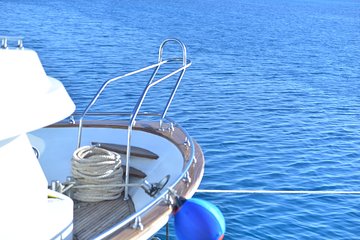 Swim With Dolphin in Dolphin House Satayeh Reef Snorkeling Sea Trip - Marsa Alam - Image 2