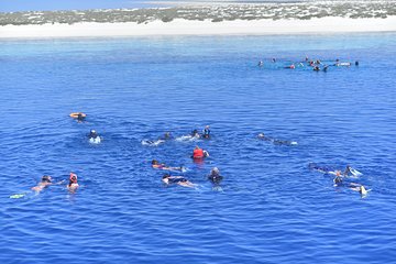 Hamata and qulaan Islands Snorkeling Sea Trip With Transfer, Lunch - Marsa Alam - Image 2