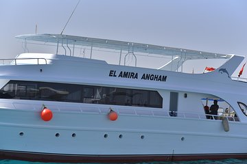 Hamata and qulaan Islands Snorkeling Sea Trip With Transfer, Lunch - Marsa Alam - Image 3