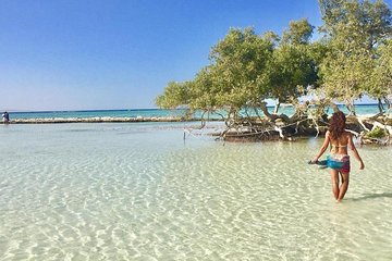 Marsa Mubarak Full Day and one intro Diving With Lunch, Transfer - Marsa Alam - Image 2