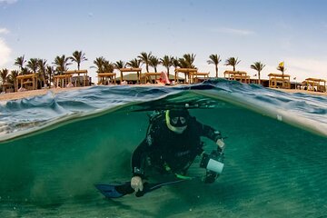 Marsa Mubarak Full Day and one intro Diving With Lunch, Transfer - Marsa Alam - Image 4