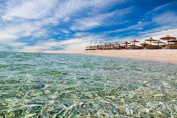 Abu Dabbab Day Trip Swim with Turtles with transsfer - Hurghada - Image 2