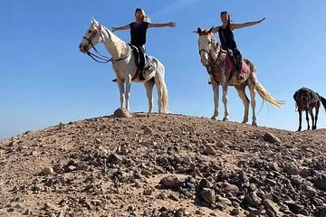 Horse Riding One hours At Amazing Desert With Transfer - Marsa Alam - Image 2