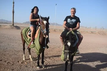 Horse Riding One hours At Amazing Desert With Transfer - Marsa Alam - Image 4