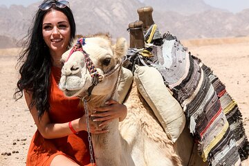 ATV, Jeep & Buggy Rides, Camel ride & Bedouin Dinner - Hurghada - Image 2