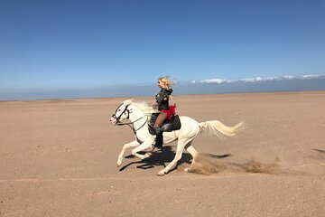 Saddle Up for Stunning Horse Riding Adventure in Desert- Hurghada - Image 4