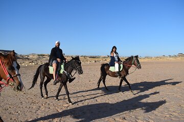Unleash Your Spirit Horse Riding in Gorgeous Desert- Hurghada - Image 4
