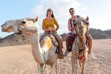 Take an Exciting Camel Ride in the Stunning Desert - Hurghada - Image 1