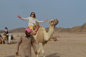 Take an Exciting Camel Ride in the Stunning Desert - Hurghada - Image 3