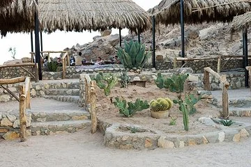 3 hours safari afternoon with the ATV quad & camel ride - Marsa Alam - Image 4